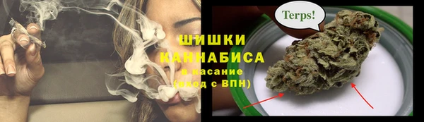 соль ск Арсеньев