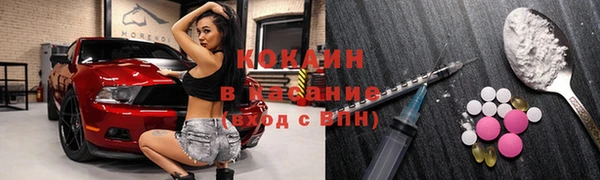 гидра Аркадак